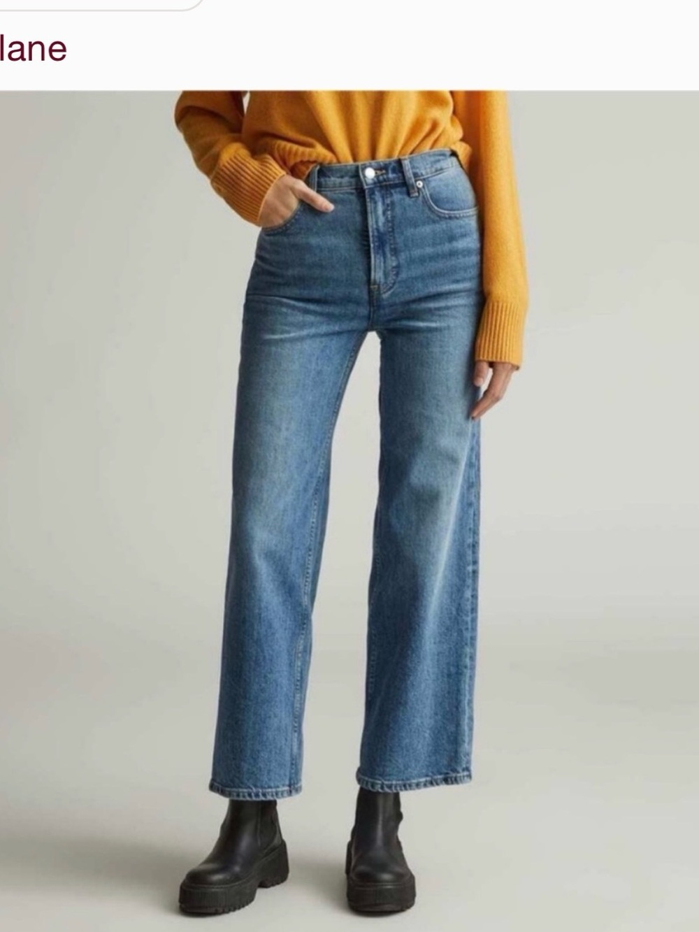 Everlane  The Way-High Wide Leg Flare Women's Jeans - Blue